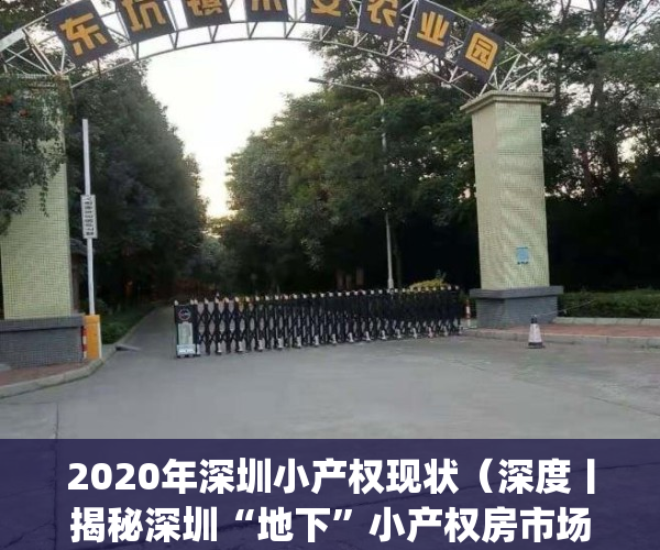 2020年深圳小产权现状（深度丨揭秘深圳“地下”小产权房市场）(深圳小产权走向)