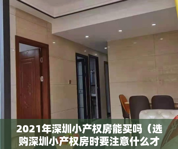 2021年深圳小产权房能买吗（选购深圳小产权房时要注意什么才能避免损失？）