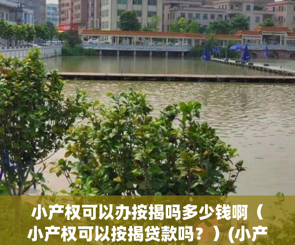 小产权可以办按揭吗多少钱啊（小产权可以按揭贷款吗？）(小产权能办理按揭吗)