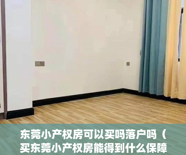 东莞小产权房可以买吗落户吗（买东莞小产权房能得到什么保障？）(东莞小产权好出手吗)