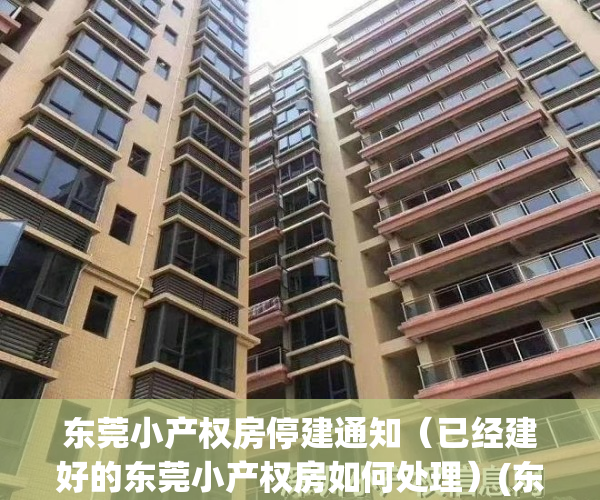 东莞小产权房停建通知（已经建好的东莞小产权房如何处理）(东莞小产权房新开盘)