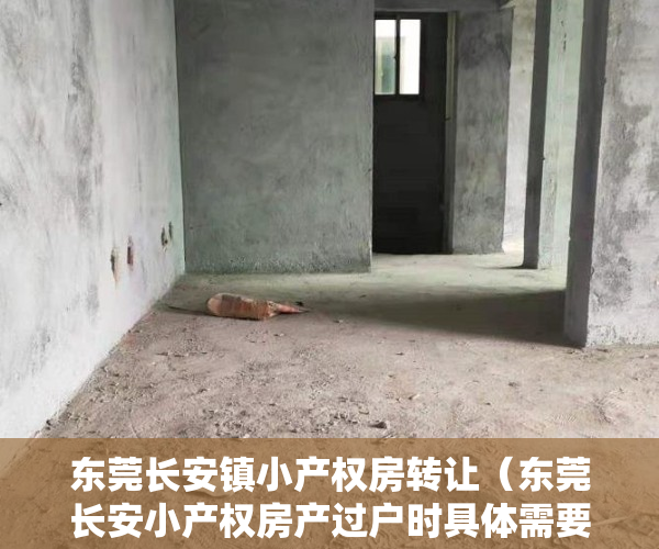 东莞长安镇小产权房转让（东莞长安小产权房产过户时具体需要什么手续？）