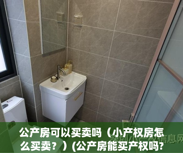 公产房可以买卖吗（小产权房怎么买卖？）(公产房能买产权吗?)