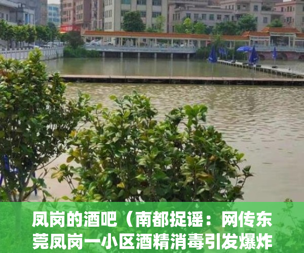 凤岗的酒吧（南都捉谣：网传东莞凤岗一小区酒精消毒引发爆炸，假的）(凤岗super star酒吧)