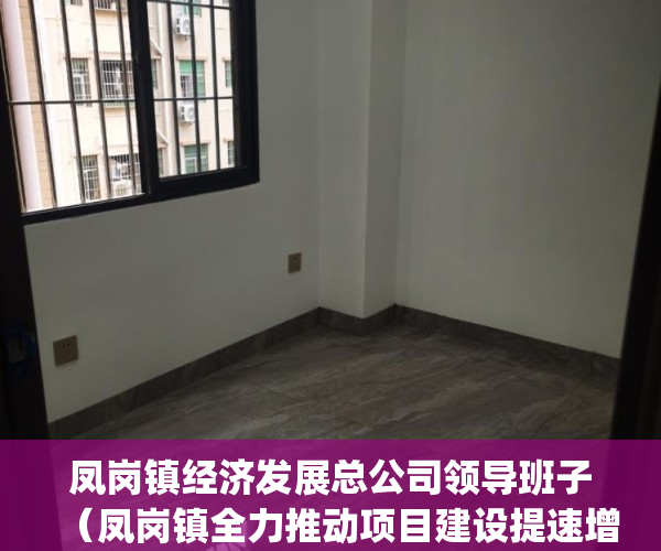 凤岗镇经济发展总公司领导班子（凤岗镇全力推动项目建设提速增效）(凤岗镇党委)