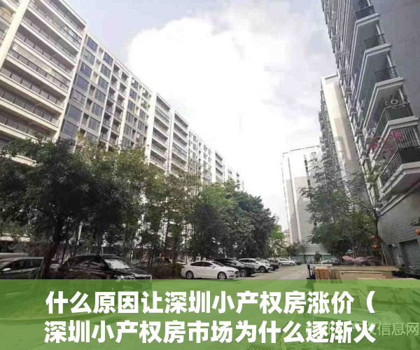 什么原因让深圳小产权房涨价（深圳小产权房市场为什么逐渐火爆，背后的真实原因·）