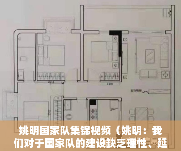 姚明国家队集锦视频（姚明：我们对于国家队的建设缺乏理性、延续性的思考 需要改进）