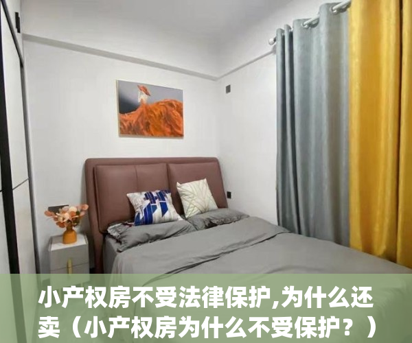 小产权房不受法律保护,为什么还卖（小产权房为什么不受保护？）(小产权房为什么不好卖)