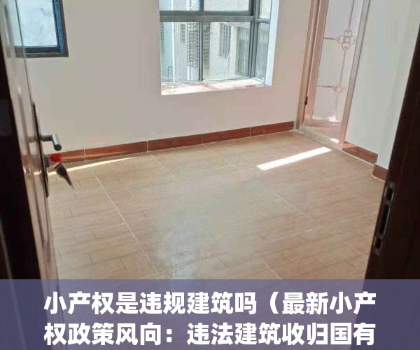 小产权是违规建筑吗（最新小产权政策风向：违法建筑收归国有）(小产权 违建)