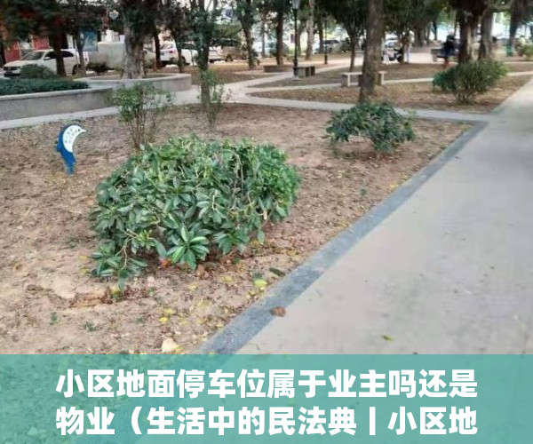 小区地面停车位属于业主吗还是物业（生活中的民法典丨小区地面停车位，归谁？）