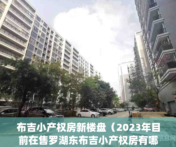 布吉小产权房新楼盘（2023年目前在售罗湖东布吉小产权房有哪些）(布吉小产权二手房出售58同城)