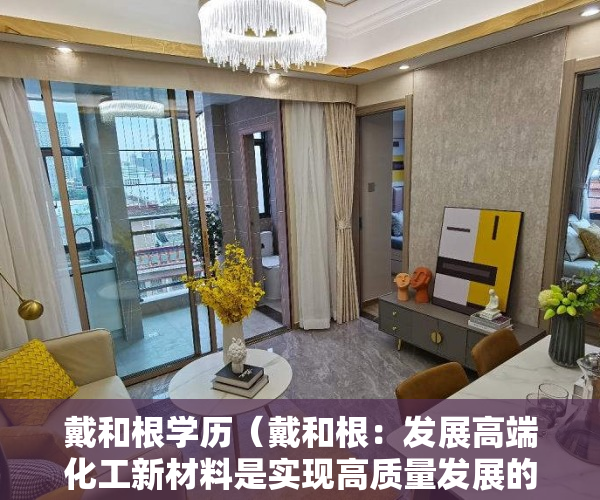 戴和根学历（戴和根：发展高端化工新材料是实现高质量发展的必由之路）