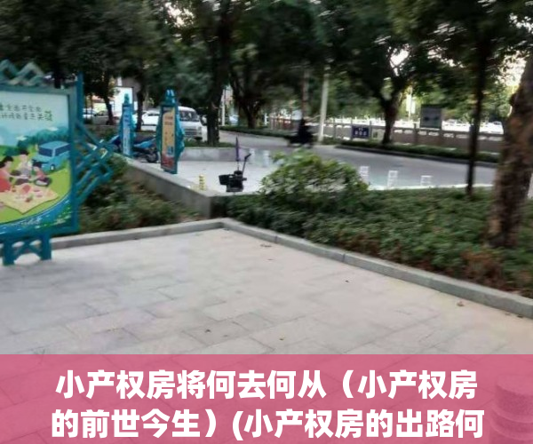 小产权房将何去何从（小产权房的前世今生）(小产权房的出路何在)