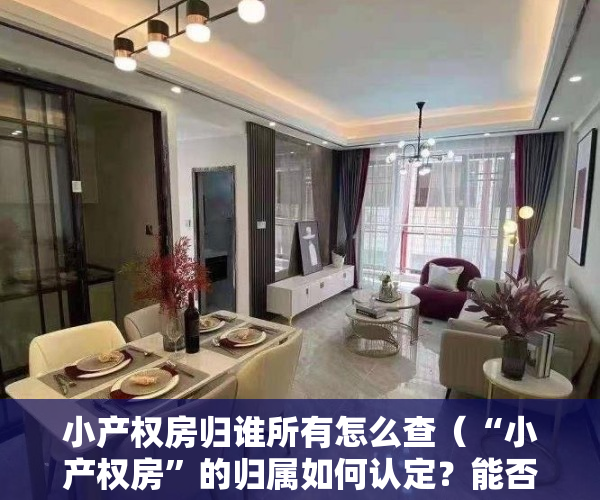 小产权房归谁所有怎么查（“小产权房”的归属如何认定？能否作为遗产继承？）