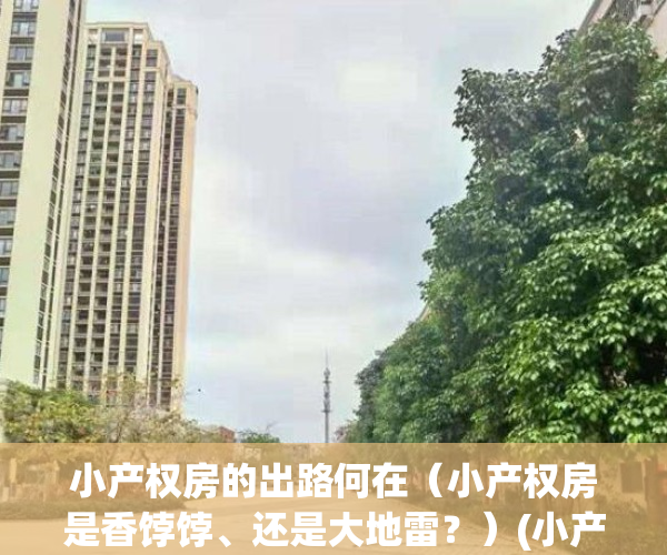 小产权房的出路何在（小产权房是香饽饽、还是大地雷？）(小产权房前景怎么样)