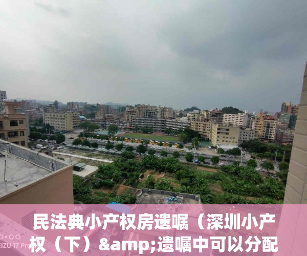 民法典小产权房遗嘱（深圳小产权（下）&遗嘱中可以分配小产权房吗？）(小产权 民法典)