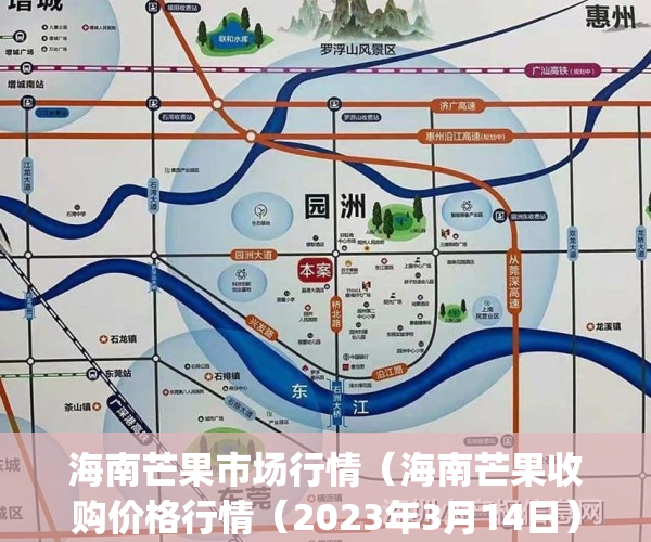 海南芒果市场行情（海南芒果收购价格行情（2023年3月14日））(现在海南芒果价格表)