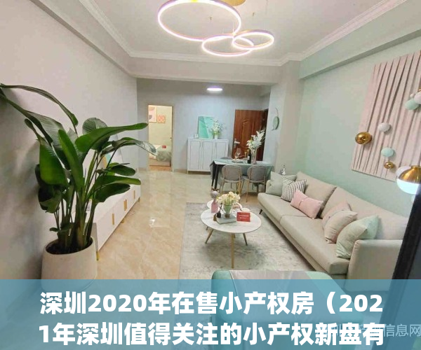 深圳2020年在售小产权房（2021年深圳值得关注的小产权新盘有哪些？）(深圳小产权2021年火了)