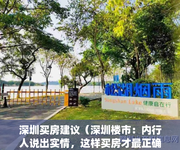 深圳买房建议（深圳楼市：内行人说出实情，这样买房才最正确）(深圳买房值不值)