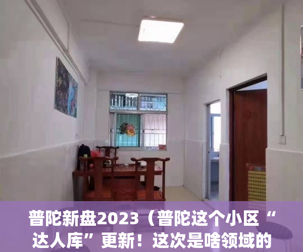 普陀新盘2023（普陀这个小区“达人库”更新！这次是啥领域的？）(普陀2020)