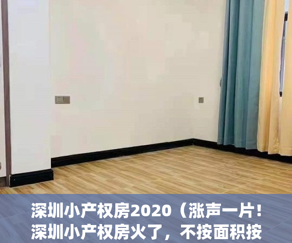 深圳小产权房2020（涨声一片！深圳小产权房火了，不按面积按套卖！）(2021年深圳小产权房新政)