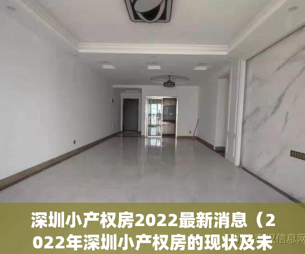 深圳小产权房2022最新消息（2022年深圳小产权房的现状及未来发展）(深圳小产权房最新政策出台)