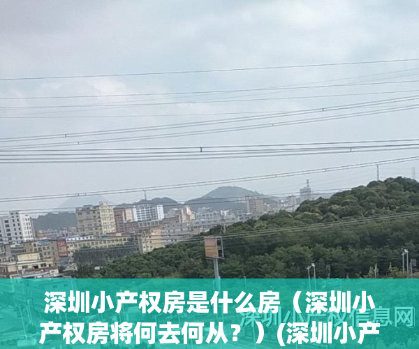 深圳小产权房是什么房（深圳小产权房将何去何从？）(深圳小产权房的比例有多大?)