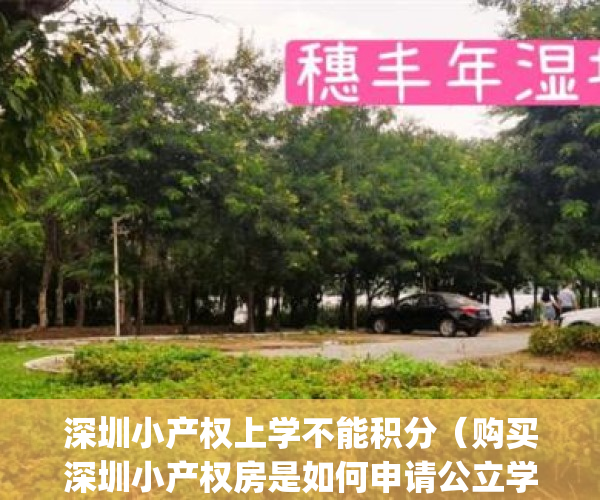 深圳小产权上学不能积分（购买深圳小产权房是如何申请公立学校？）(深圳小产权房学位政策)