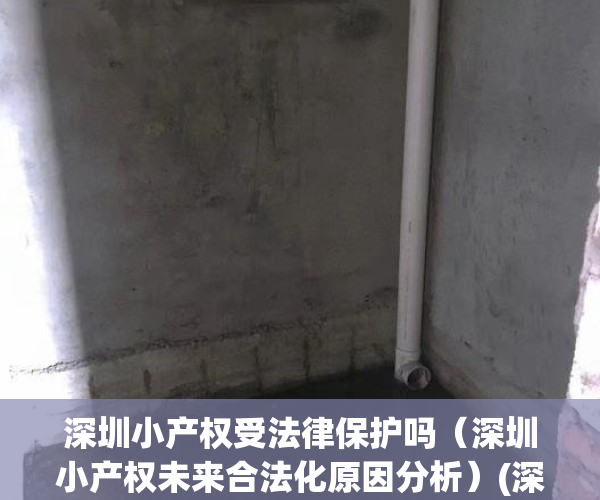 深圳小产权受法律保护吗（深圳小产权未来合法化原因分析）(深圳小产权是合法产权嘛)