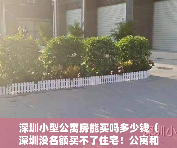 深圳小型公寓房能买吗多少钱（深圳没名额买不了住宅！公寓和小产权怎么选择？）