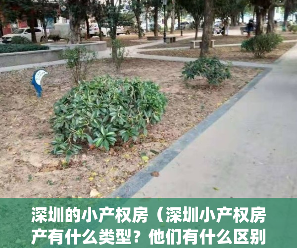 深圳的小产权房（深圳小产权房产有什么类型？他们有什么区别？）(深圳小产权房房源)