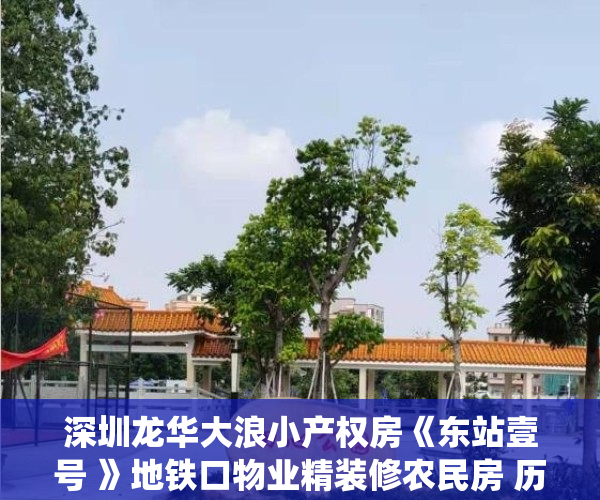 深圳龙华大浪小产权房《东站壹号 》地铁口物业精装修农民房 历史遗留 可落户住宅三房两房一房集资房村委统建楼自建房宅基地电梯房