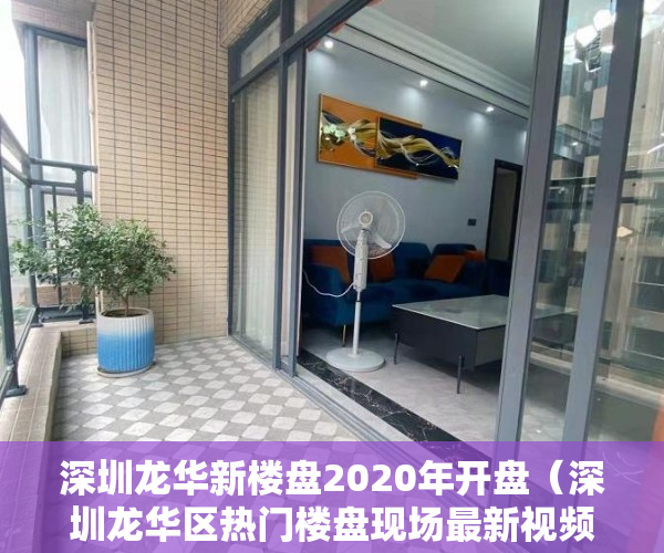 深圳龙华新楼盘2020年开盘（深圳龙华区热门楼盘现场最新视频，点击查看）