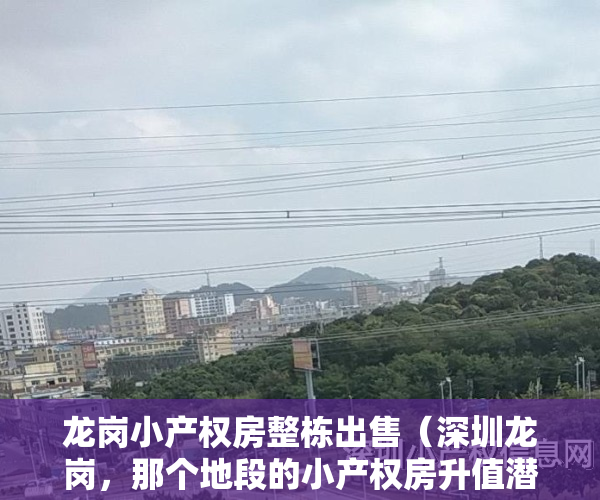 龙岗小产权房整栋出售（深圳龙岗，那个地段的小产权房升值潜力最大？最有保障？）