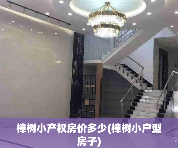 樟树小产权房价多少(樟树小户型房子)