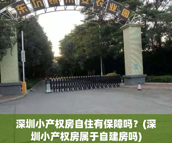 深圳小产权房自住有保障吗？(深圳小产权房属于自建房吗)