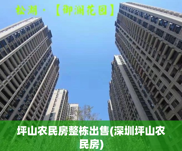 坪山农民房整栋出售(深圳坪山农民房)