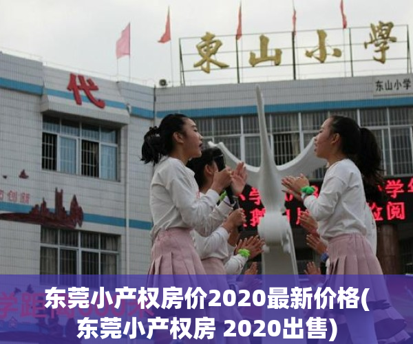 东莞小产权房价2020最新价格(东莞小产权房 2020出售)