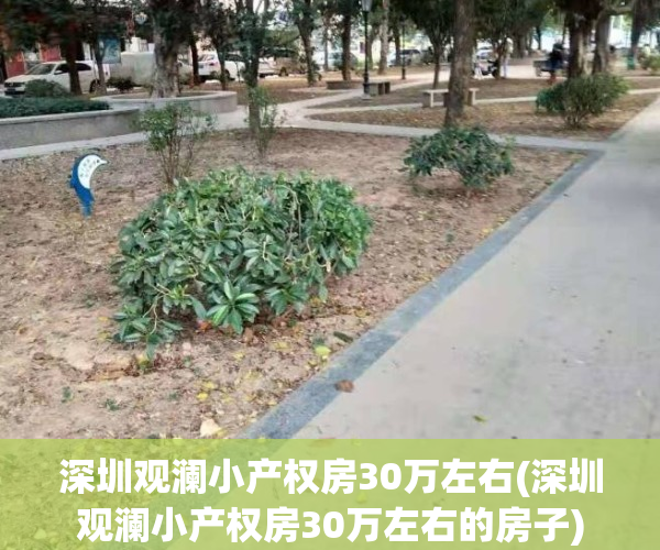 深圳观澜小产权房30万左右(深圳观澜小产权房30万左右的房子)