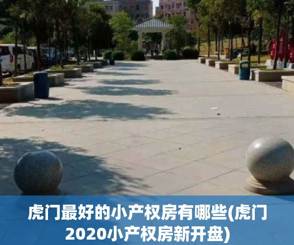 虎门最好的小产权房有哪些(虎门2020小产权房新开盘)