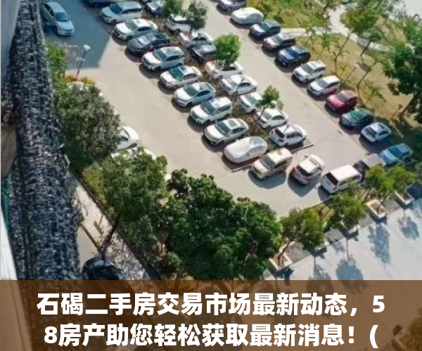 石碣二手房交易市场最新动态，58房产助您轻松获取最新消息！(石碣二手房网)