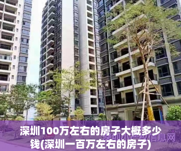 深圳100万左右的房子大概多少钱(深圳一百万左右的房子)