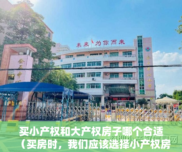 买小产权和大产权房子哪个合适（买房时，我们应该选择小产权房还是大产权房，哪个更划算呢？）