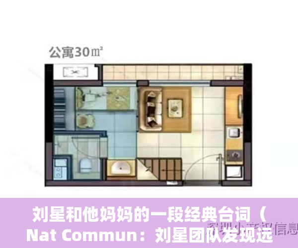 刘星和他妈妈的一段经典台词（Nat Commun：刘星团队发现远期记忆的初始标记和长期存储新机制）