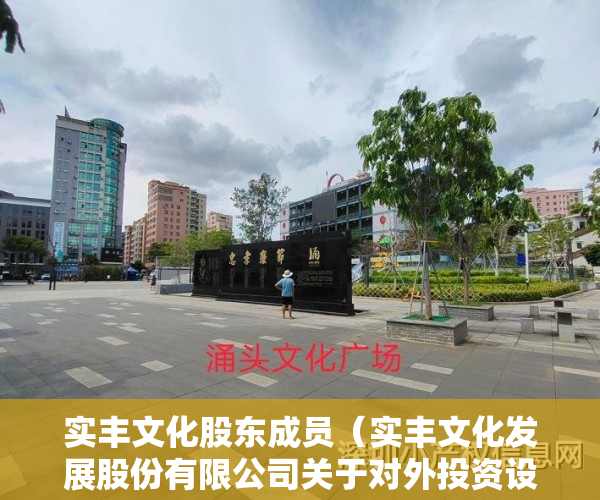 实丰文化股东成员（实丰文化发展股份有限公司关于对外投资设立深圳子公司的公告）